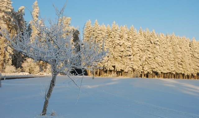 Winter (41)